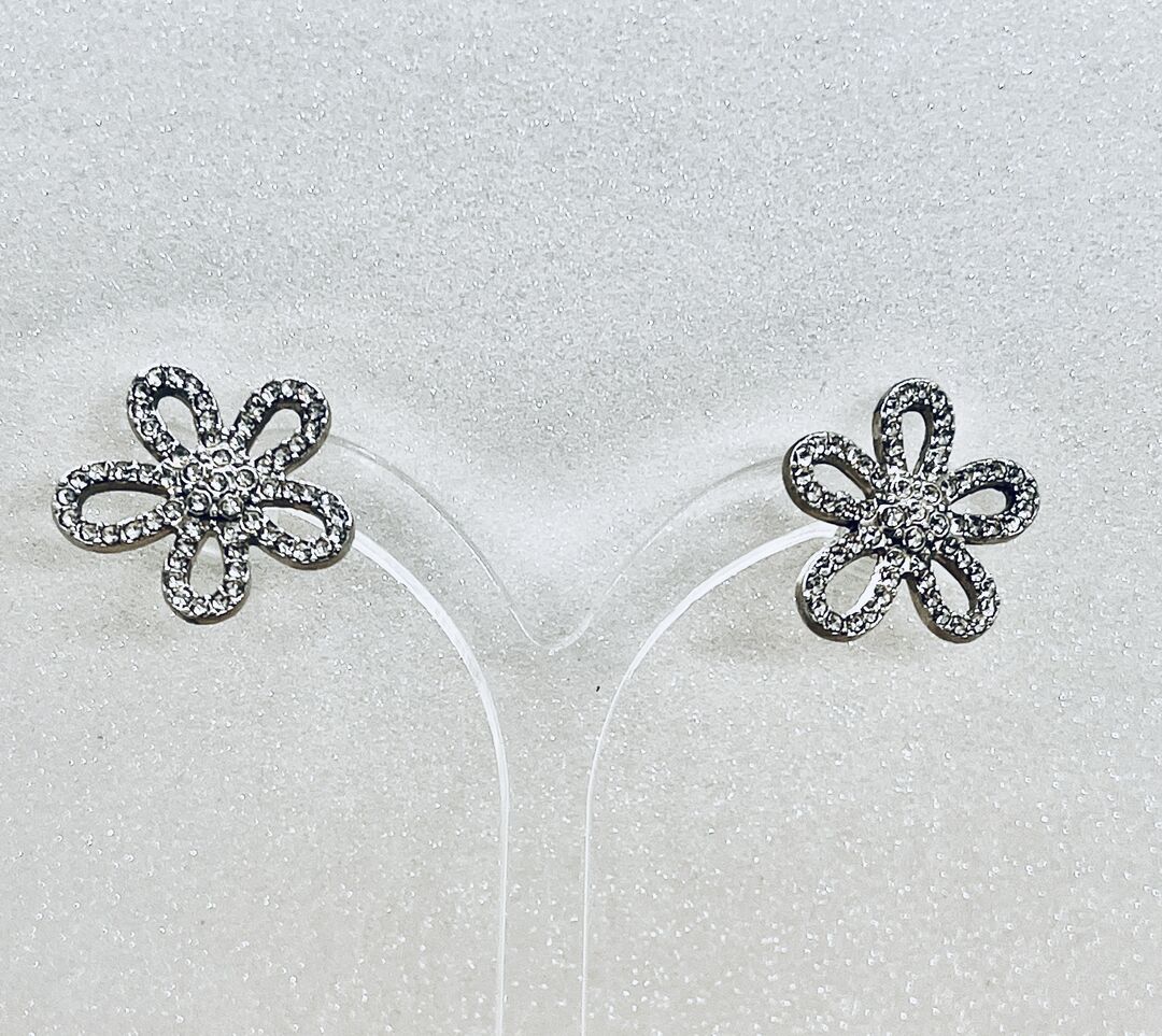 Silver Sparking Earrings